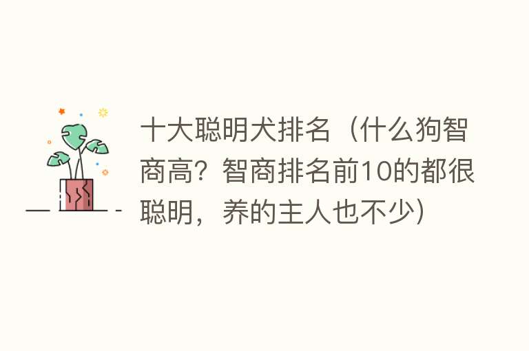 十大聪明犬排名（什么狗智商高？智商排名前10的都很聪明，养的主人也不少）