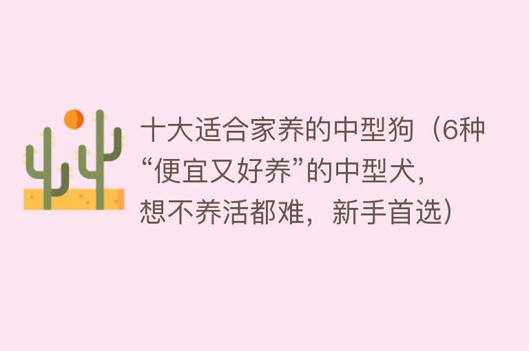 十大适合家养的中型狗（6种“便宜又好养”的中型犬，想不养活都难，新手首选）