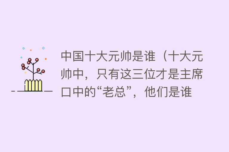 中国十大元帅是谁（十大元帅中，只有这三位才是主席口中的“老总”，他们是谁？）