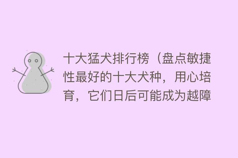 十大猛犬排行榜（盘点敏捷性最好的十大犬种，用心培育，它们日后可能成为越障高手） 