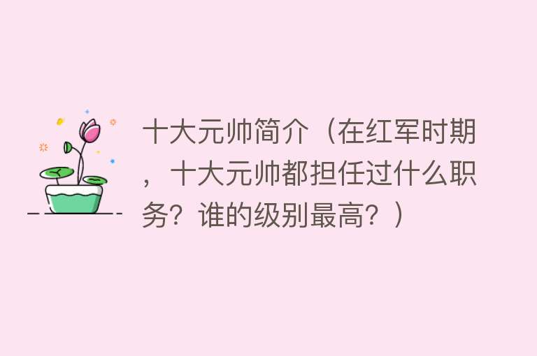 十大元帅简介（在红军时期，十大元帅都担任过什么职务？谁的级别最高？）