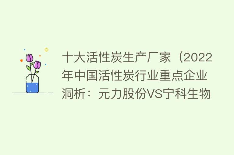 十大活性炭生产厂家（2022年中国活性炭行业重点企业洞析：元力股份VS宁科生物「图」） 