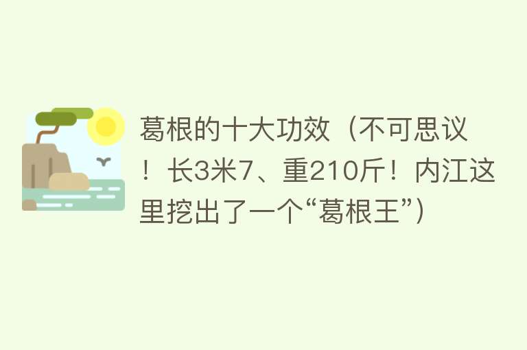 葛根的十大功效（不可思议！长3米7、重210斤！内江这里挖出了一个“葛根王”）