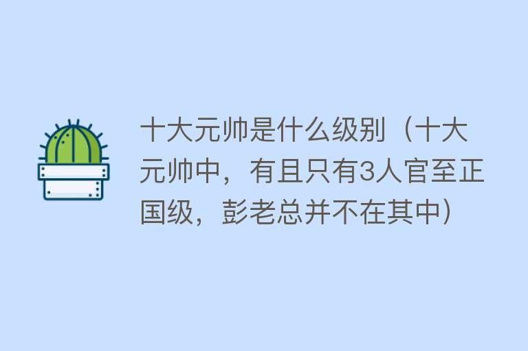 十大元帅是什么级别（十大元帅中，有且只有3人官至正国级，彭老总并不在其中） 