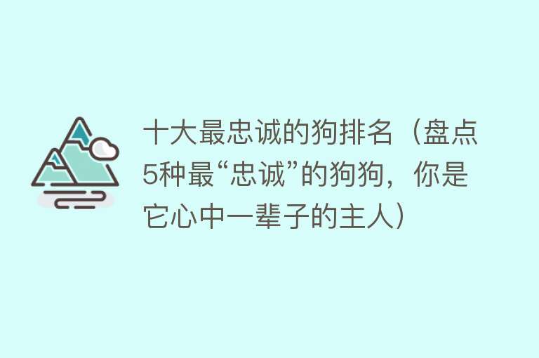 十大最忠诚的狗排名（盘点5种最“忠诚”的狗狗，你是它心中一辈子的主人）