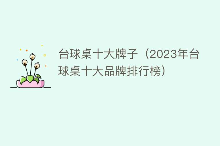 台球桌十大牌子（2023年台球桌十大品牌排行榜）