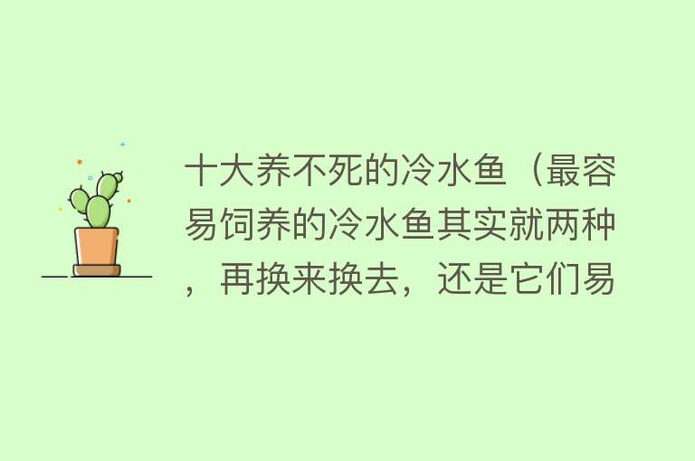 十大养不死的冷水鱼（最容易饲养的冷水鱼其实就两种，再换来换去，还是它们易于饲养） 