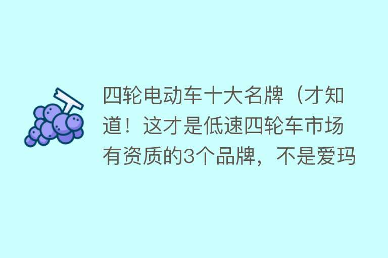 四轮电动车十大名牌（才知道！这才是低速四轮车市场有资质的3个品牌，不是爱玛、东威）