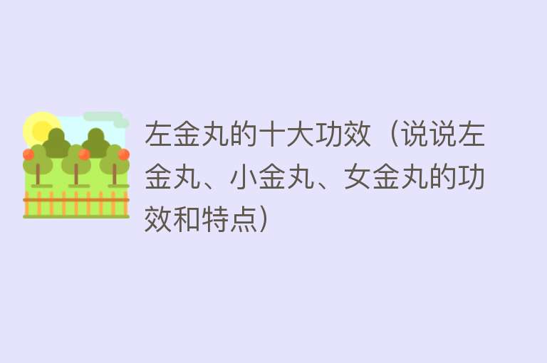 左金丸的十大功效（说说左金丸、小金丸、女金丸的功效和特点）