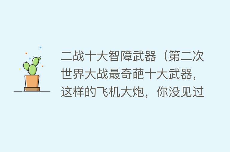 二战十大智障武器（第二次世界大战最奇葩十大武器，这样的飞机大炮，你没见过） 