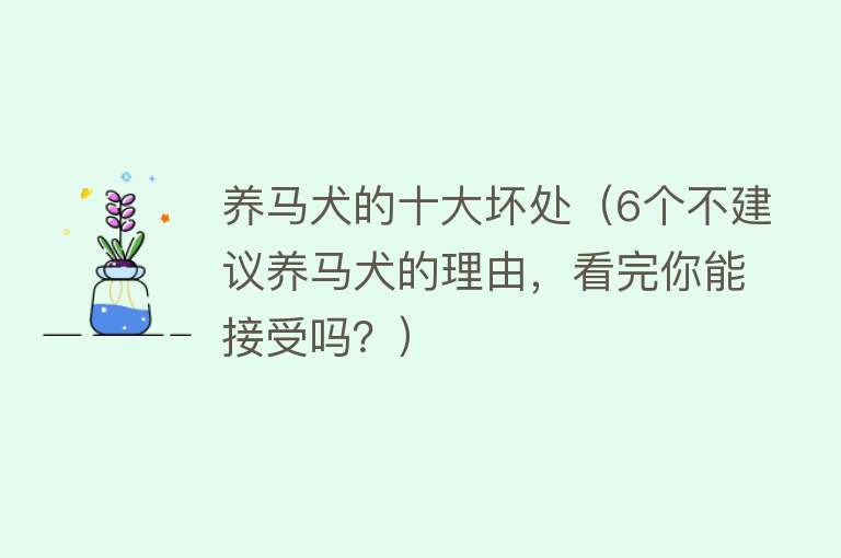 养马犬的十大坏处（6个不建议养马犬的理由，看完你能接受吗？）