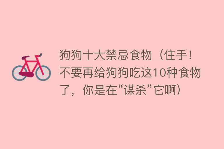 狗狗十大禁忌食物（住手！不要再给狗狗吃这10种食物了，你是在“谋杀”它啊）