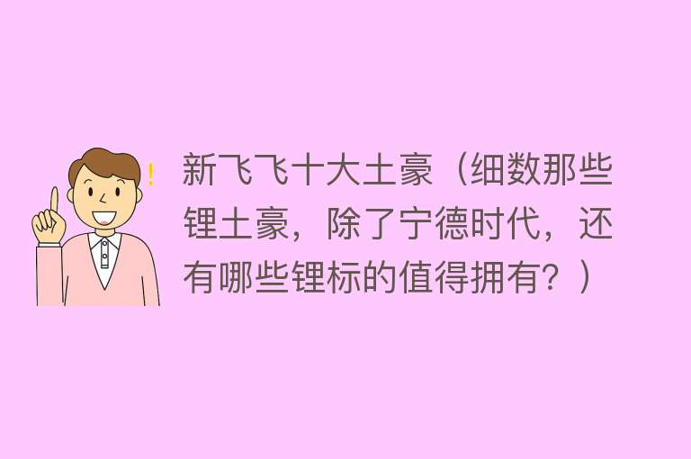 新飞飞十大土豪（细数那些锂土豪，除了宁德时代，还有哪些锂标的值得拥有？）