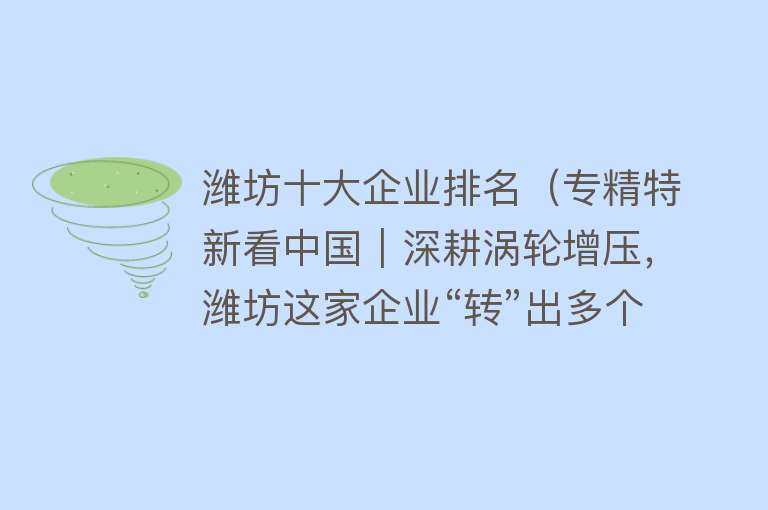 潍坊十大企业排名（专精特新看中国｜深耕涡轮增压，潍坊这家企业“转”出多个全国第一）