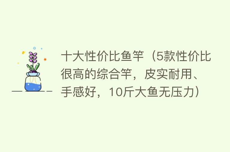 十大性价比鱼竿（5款性价比很高的综合竿，皮实耐用、手感好，10斤大鱼无压力）