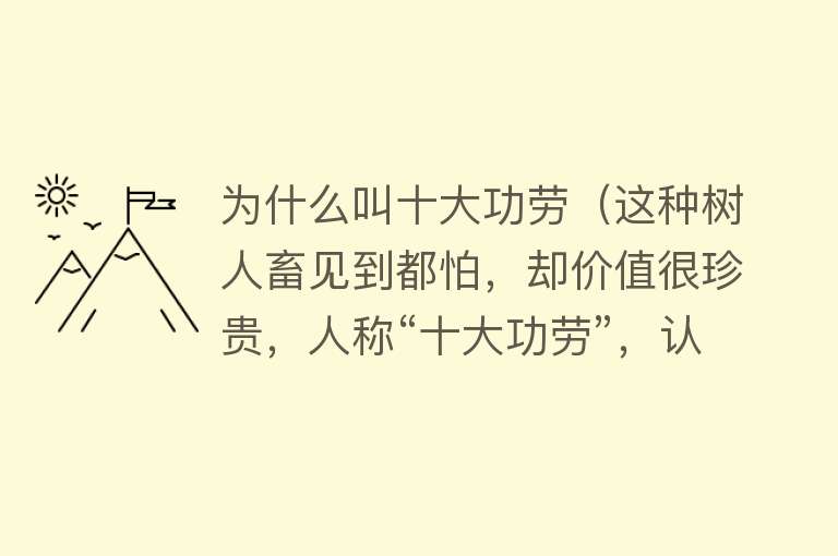 为什么叫十大功劳（这种树人畜见到都怕，却价值很珍贵，人称“十大功劳”，认识吗？）