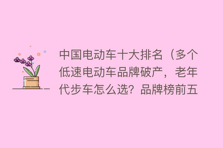 中国电动车十大排名（多个低速电动车品牌破产，老年代步车怎么选？品牌榜前五名告诉你） 