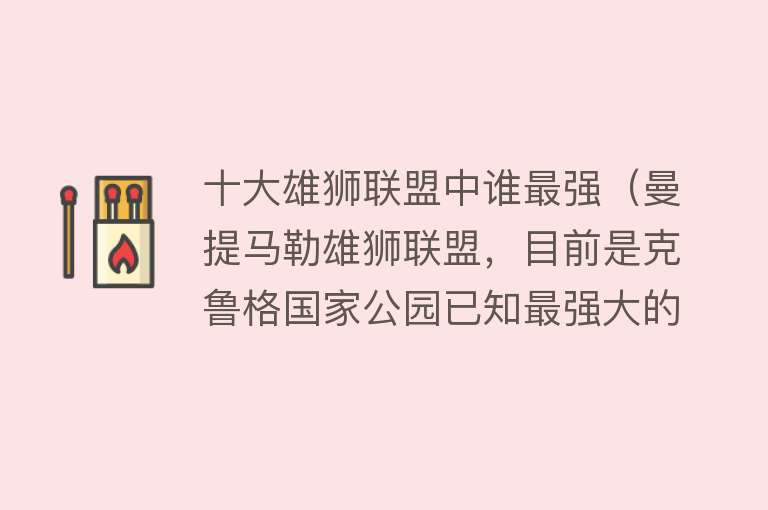 十大雄狮联盟中谁最强（曼提马勒雄狮联盟，目前是克鲁格国家公园已知最强大的联盟之一）