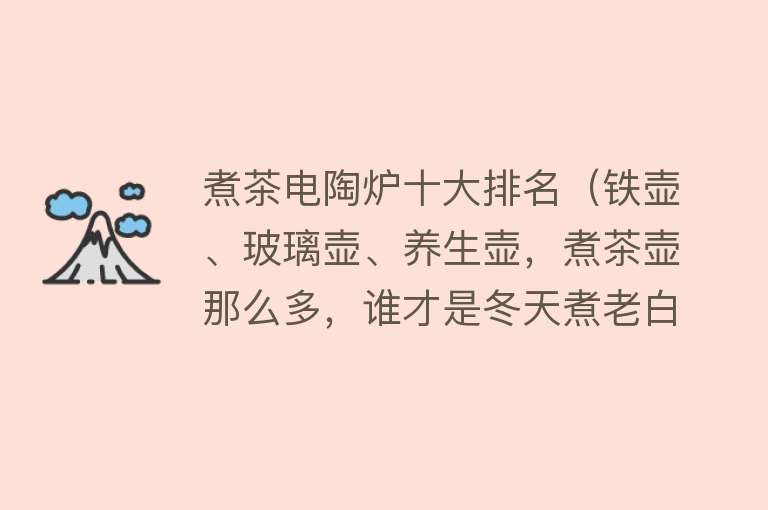 煮茶电陶炉十大排名（铁壶、玻璃壶、养生壶，煮茶壶那么多，谁才是冬天煮老白茶首选？）