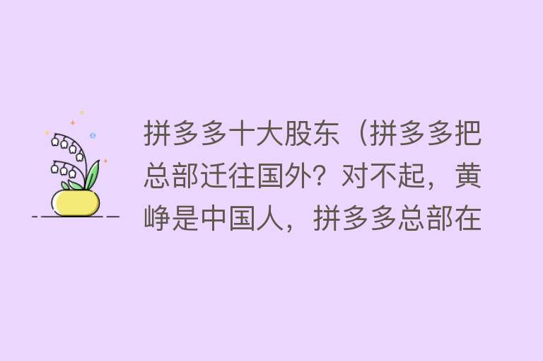 拼多多十大股东（拼多多把总部迁往国外？对不起，黄峥是中国人，拼多多总部在上海） 