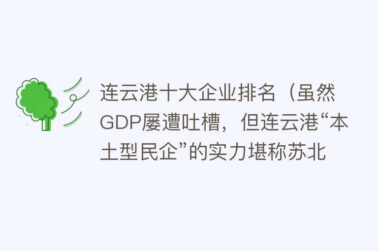 连云港十大企业排名（虽然GDP屡遭吐槽，但连云港“本土型民企”的实力堪称苏北领头羊） 