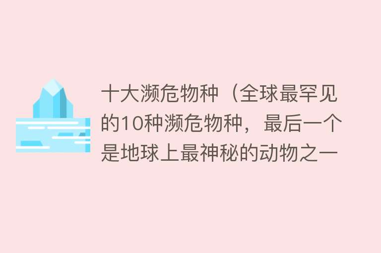 十大濒危物种（全球最罕见的10种濒危物种，最后一个是地球上最神秘的动物之一！）