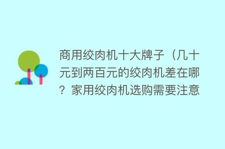 商用绞肉机十大牌子（几十元到两百元的绞肉机差在哪？家用绞肉机选购需要注意什么？） 