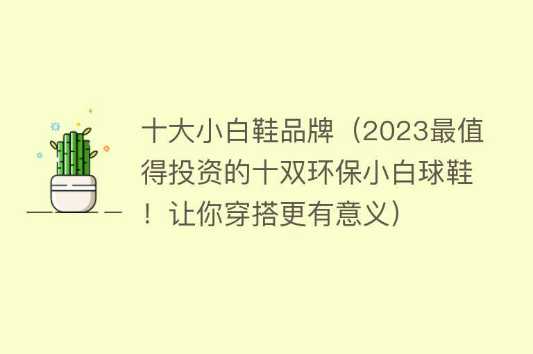 十大小白鞋品牌（2023最值得投资的十双环保小白球鞋！让你穿搭更有意义） 