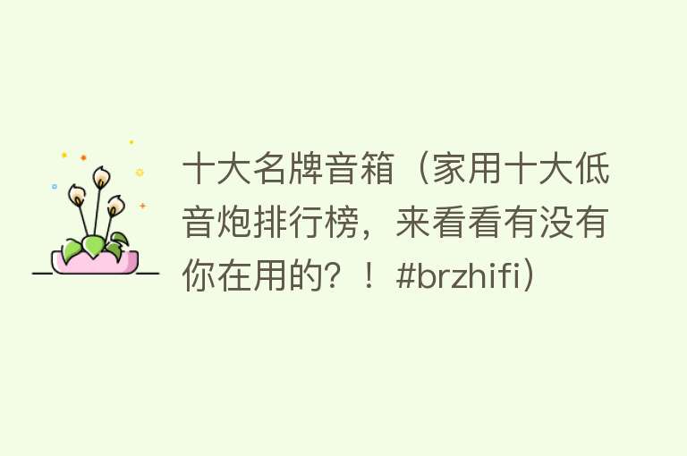 十大名牌音箱（家用十大低音炮排行榜，来看看有没有你在用的？！#brzhifi）