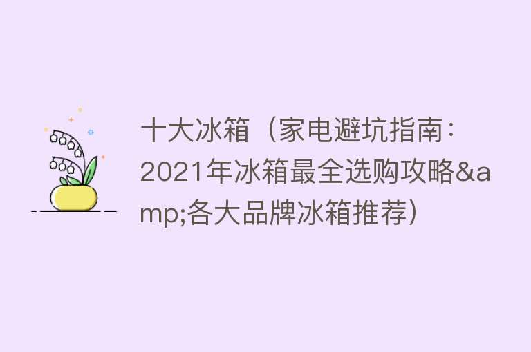 十大冰箱（家电避坑指南：2021年冰箱最全选购攻略&各大品牌冰箱推荐） 