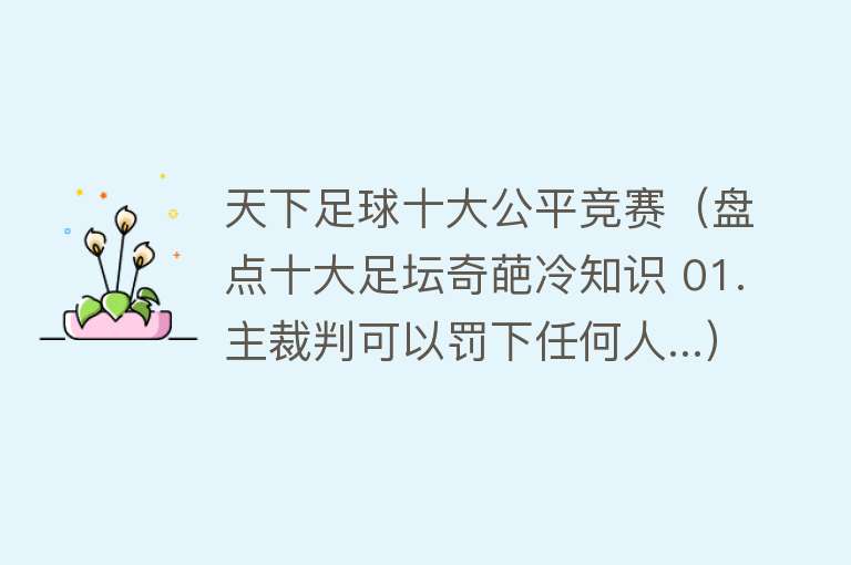 天下足球十大公平竞赛（盘点十大足坛奇葩冷知识 01.主裁判可以罚下任何人...）