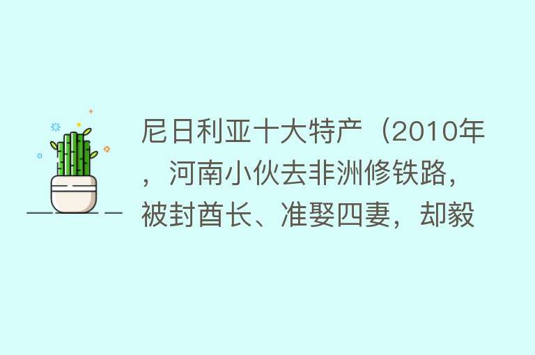 尼日利亚十大特产（2010年，河南小伙去非洲修铁路，被封酋长、准娶四妻，却毅然回国）