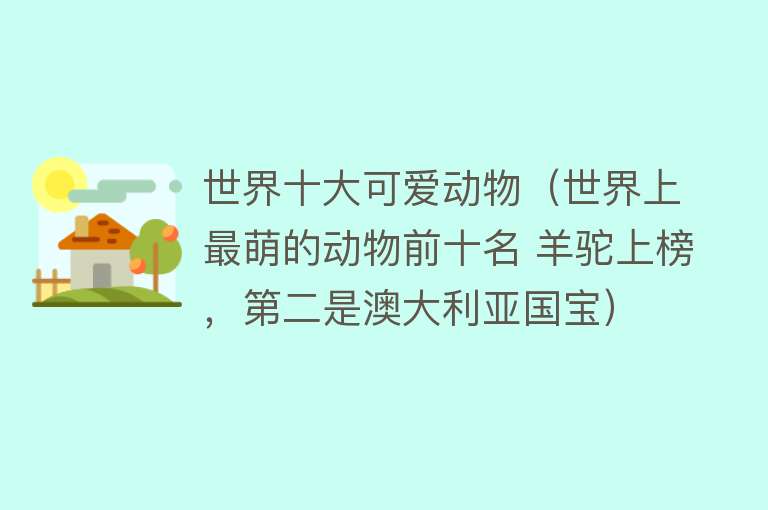 世界十大可爱动物（世界上最萌的动物前十名 羊驼上榜，第二是澳大利亚国宝） 