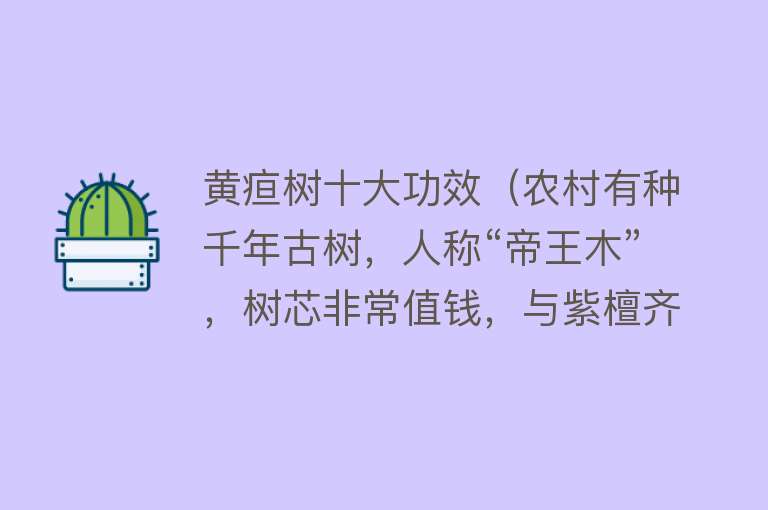 黄疸树十大功效（农村有种千年古树，人称“帝王木”，树芯非常值钱，与紫檀齐名） 