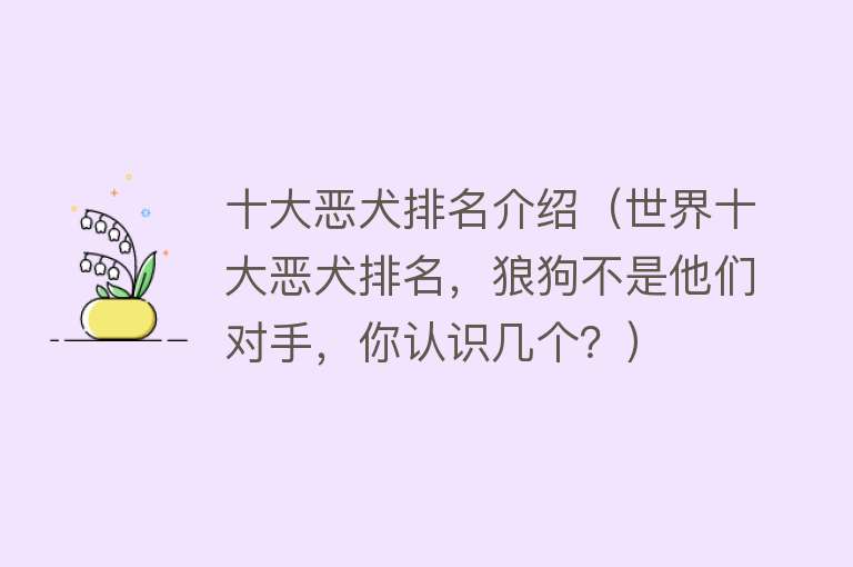 十大恶犬排名介绍（世界十大恶犬排名，狼狗不是他们对手，你认识几个？） 