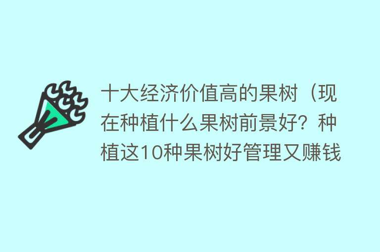 十大经济价值高的果树（现在种植什么果树前景好？种植这10种果树好管理又赚钱）