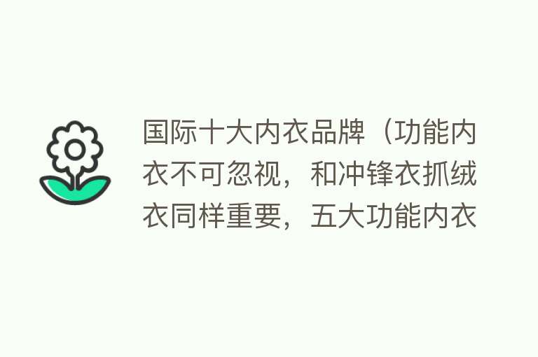 国际十大内衣品牌（功能内衣不可忽视，和冲锋衣抓绒衣同样重要，五大功能内衣品牌）