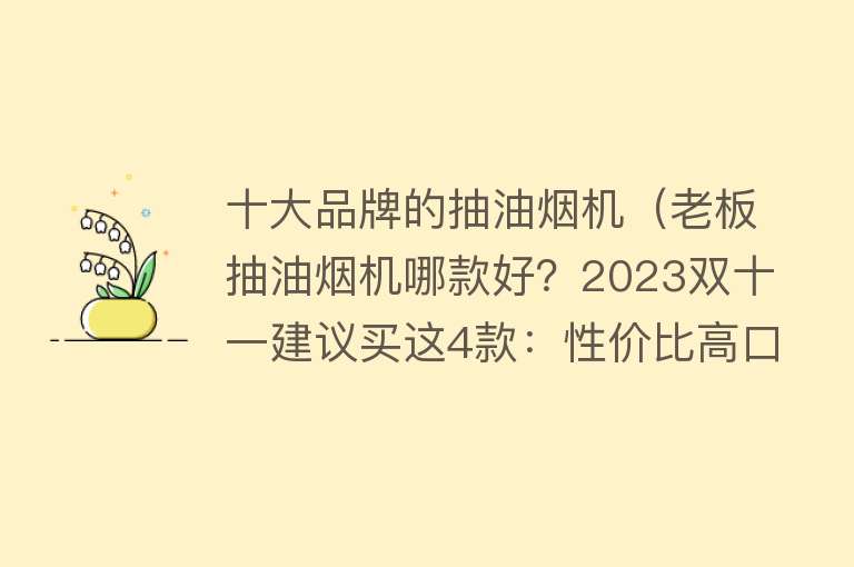 十大品牌的抽油烟机（老板抽油烟机哪款好？2023双十一建议买这4款：性价比高口碑公认）