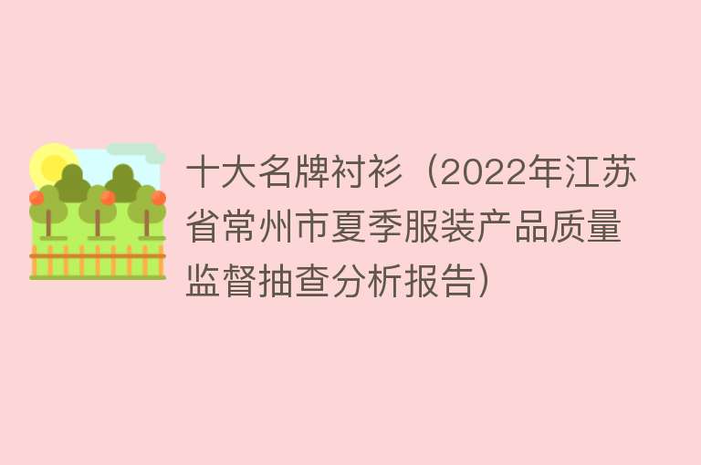 十大名牌衬衫（2022年江苏省常州市夏季服装产品质量监督抽查分析报告）