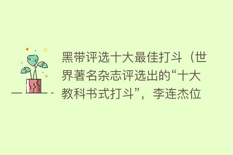 黑带评选十大最佳打斗（世界著名杂志评选出的“十大教科书式打斗”，李连杰位列第三）