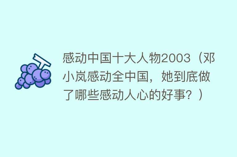 感动中国十大人物2003（邓小岚感动全中国，她到底做了哪些感动人心的好事？）