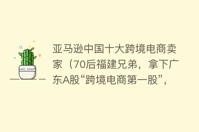 亚马逊中国十大跨境电商卖家（70后福建兄弟，拿下广东A股“跨境电商第一股”，身价87亿）