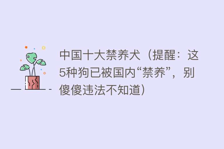 中国十大禁养犬（提醒：这5种狗已被国内“禁养”，别傻傻违法不知道） 