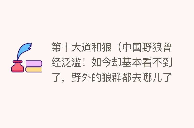 第十大道和狼（中国野狼曾经泛滥！如今却基本看不到了，野外的狼群都去哪儿了？）