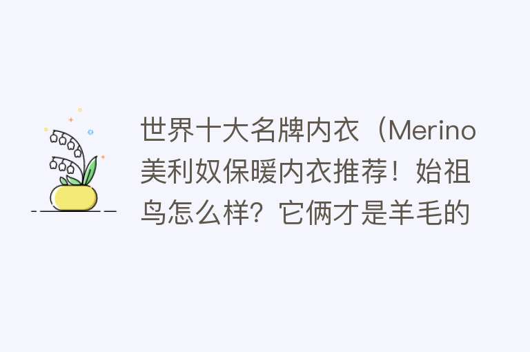 世界十大名牌内衣（Merino美利奴保暖内衣推荐！始祖鸟怎么样？它俩才是羊毛的天花板）