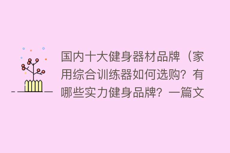 国内十大健身器材品牌（家用综合训练器如何选购？有哪些实力健身品牌？一篇文章说清楚）