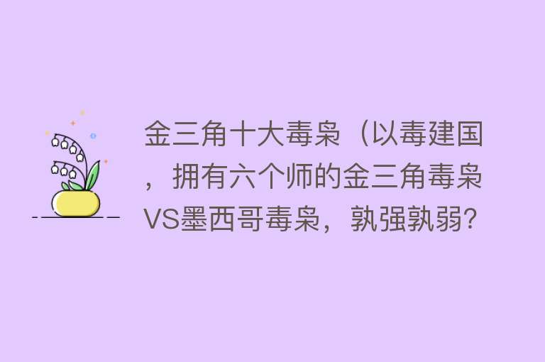 金三角十大毒枭（以毒建国，拥有六个师的金三角毒枭VS墨西哥毒枭，孰强孰弱？）