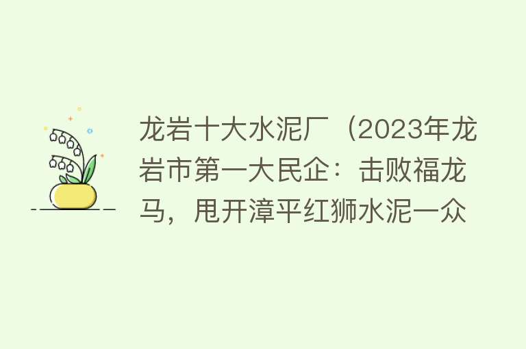 龙岩十大水泥厂（2023年龙岩市第一大民企：击败福龙马，甩开漳平红狮水泥一众企业）