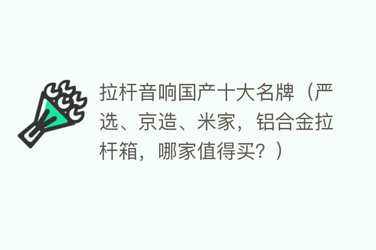 拉杆音响国产十大名牌（严选、京造、米家，铝合金拉杆箱，哪家值得买？）