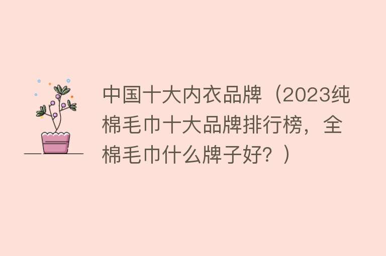 中国十大内衣品牌（2023纯棉毛巾十大品牌排行榜，全棉毛巾什么牌子好？）